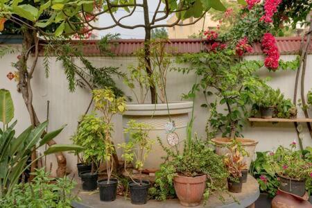 Eden Garden Villa By Jadecaps Nr Mg Road Garden Бангалор Екстериор снимка