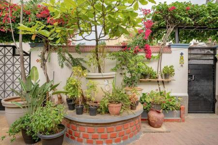 Eden Garden Villa By Jadecaps Nr Mg Road Garden Бангалор Екстериор снимка